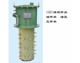 1OKV端部开关油开关油真空开关